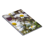 Carnet de marguerites blanches (Côté Droit)