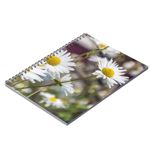 Carnet de marguerites blanches (Côté gauche)