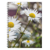 Carnet de marguerites blanches (Devant)