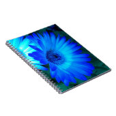 Carnet de marguerites bleues (Côté Droit)