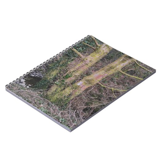 Carnet de miroirs (Côté gauche)