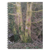 Carnet de miroirs (Devant)