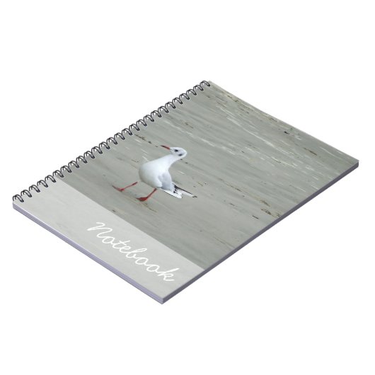 Carnet de mouettes (Côté gauche)