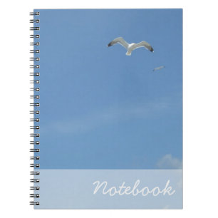 Carnet de mouettes