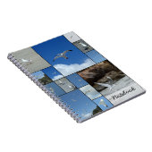 Carnet de mouettes (Côté Droit)