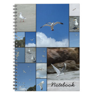 Carnet de mouettes
