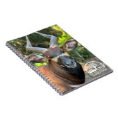 Carnet de Mountain Bongo (Côté Droit)