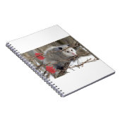 Carnet de nature sur l'opossum (Côté Droit)
