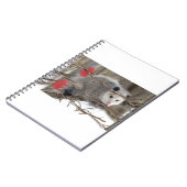 Carnet de nature sur l'opossum (Côté gauche)