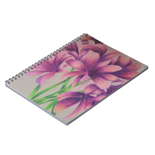 Carnet de nénuphar rose (Côté gauche)