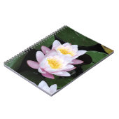 Carnet de nénuphars (Côté gauche)
