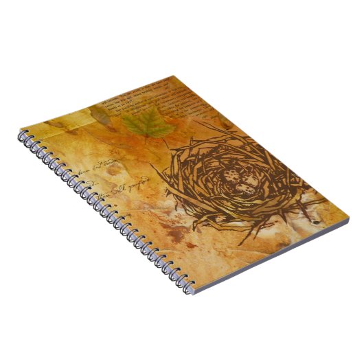 Carnet de nid (Côté Droit)