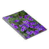 Carnet De nombreuses fleurs de phlox violet foncé (Côté Droit)