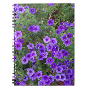 Carnet De nombreuses fleurs de phlox violet foncé