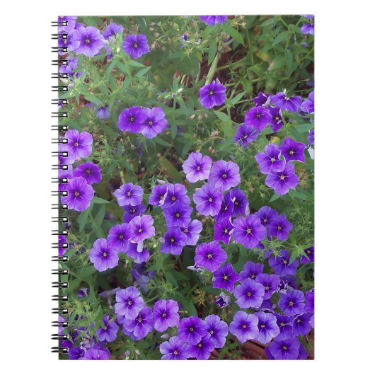Carnet De nombreuses fleurs de phlox violet foncé (Devant)