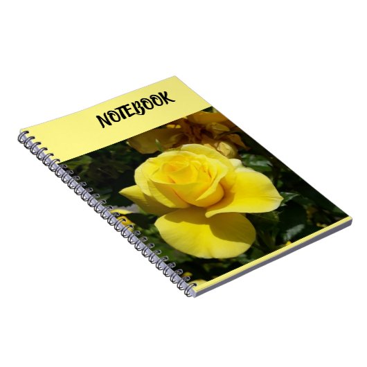 Carnet de notes (Côté Droit)