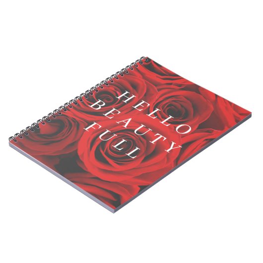Carnet de notes à spirale (Côté gauche)