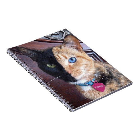 Carnet de notes à spirale de chat de Vénus (Côté Droit)