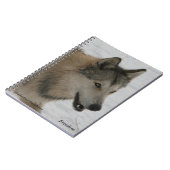 Carnet de notes à spirale de loup (Côté gauche)