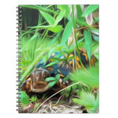 Carnet de notes à spirale de tortue de boîte (Devant)