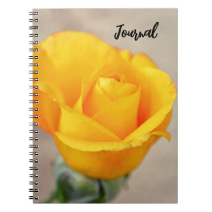 Carnet de notes d'art à fleurs de rose or jaune