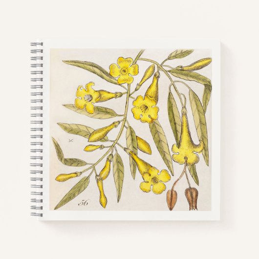Carnet de notes d'art botanique jaune du 18e siècl (Devant)