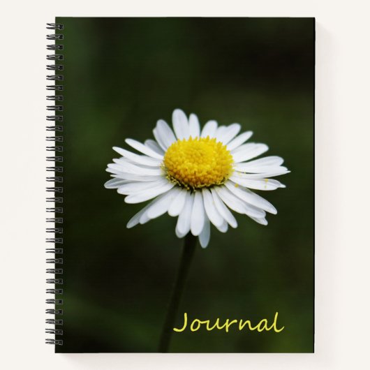 Carnet de notes de journal de 8,5 po x 11 po (Devant)
