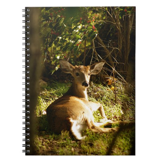 Carnet de notes photo spirale Young Buck (Devant)
