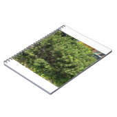 Carnet de notes sur le pin vert dans la nature (Côté gauche)