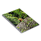 Carnet de notes Tigre Peek-a-boo (Côté Droit)