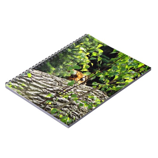 Carnet de notes Tigre Peek-a-boo (Côté gauche)