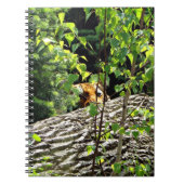 Carnet de notes Tigre Peek-a-boo (Devant)