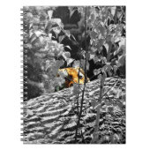 Carnet de notes Tigre Peek-a-boo (Devant)