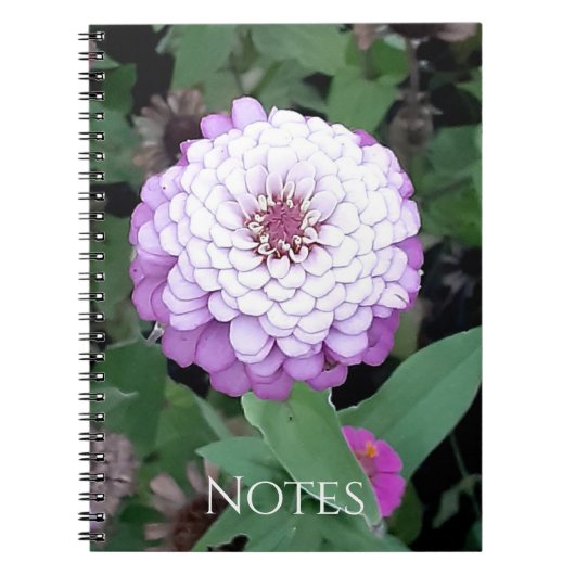 Carnet de notes Zinnia lavande (Devant)