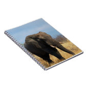 Carnet de pachyderme (Côté Droit)