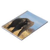 Carnet de pachyderme (Côté gauche)