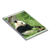 Carnet de panda (Côté Droit)