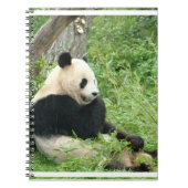 Carnet de panda (Devant)