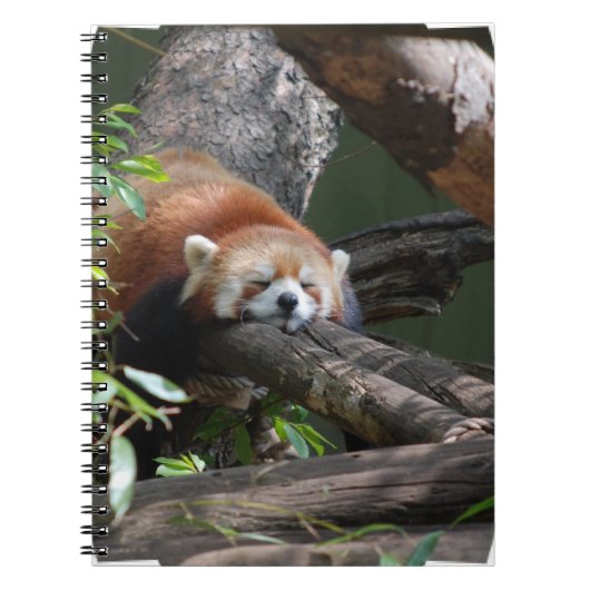 Carnet de panda rouge de sommeil (Devant)