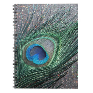 Carnet De paon de plume toujours la vie noire
