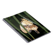 Carnet de papillon (Côté Droit)