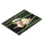 Carnet de papillon (Côté gauche)
