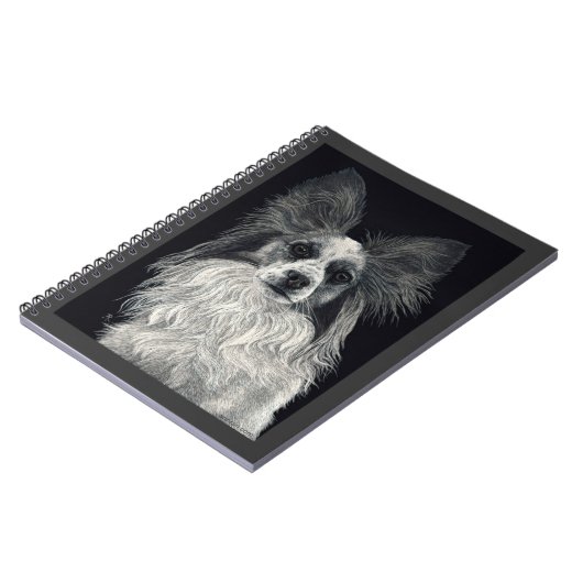 Carnet de Papillon - "étincelles " (Côté gauche)