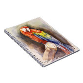 Carnet de perroquets précieux (Côté Droit)