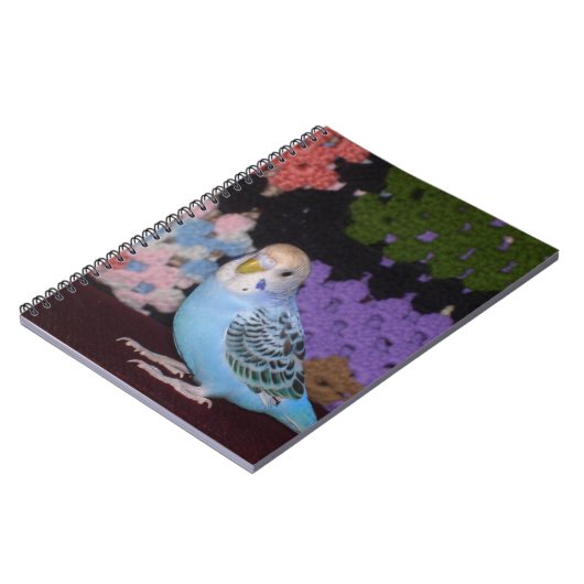 Carnet de perruche (Côté gauche)