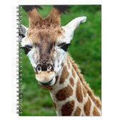 Carnet de photo de girafe (Devant)