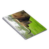 Carnet de photographie de vache à Austin le Texas (Côté Droit)