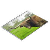 Carnet de photographie de vache à Austin le Texas (Côté gauche)