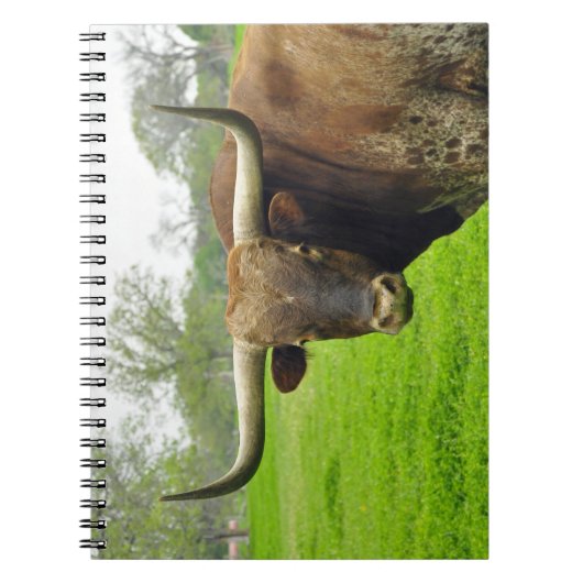 Carnet de photographie de vache à Austin le Texas (Devant)