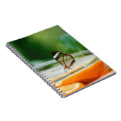 Carnet de photos (80 pages B & N) (Côté Droit)